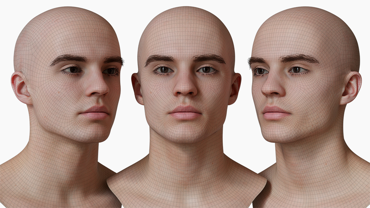 head model wireframe mesh